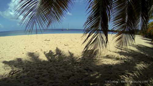 Saline Bay - Mayreau