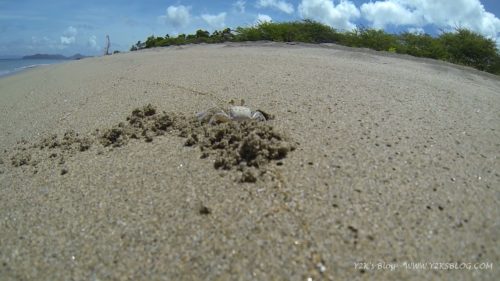 Spiaggia Nevis