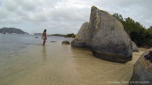 Trellis Bay