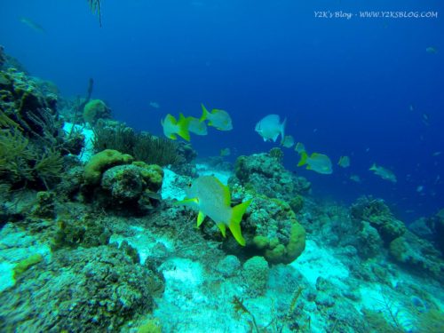 Klein Bonaire