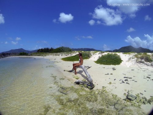 Sandy Island - Carriacou